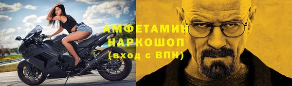 прущие грибы Бронницы