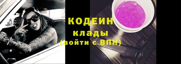 прущие грибы Бронницы