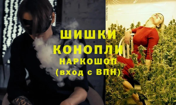 прущие грибы Бронницы