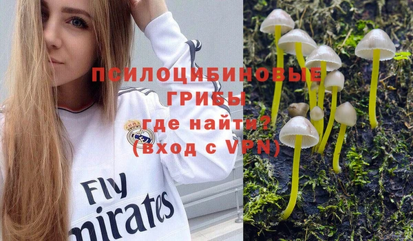 мет Бородино