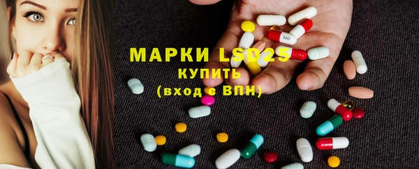 прущие грибы Бронницы