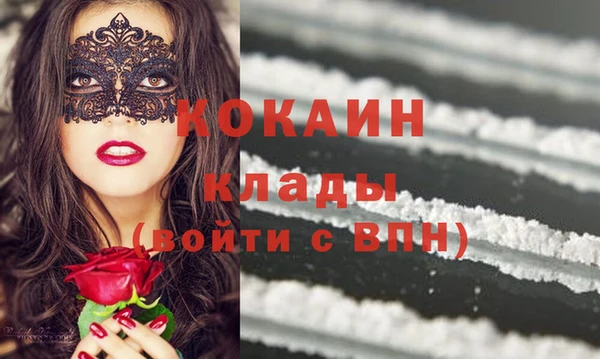 прущие грибы Бронницы