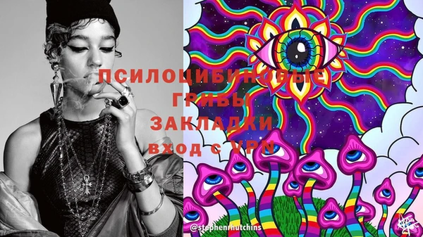 прущие грибы Бронницы