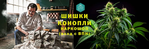 прущие грибы Бронницы
