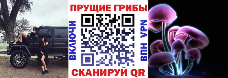 Псилоцибиновые грибы GOLDEN TEACHER  Купить закладки  Михайлов 